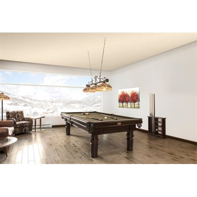 TABLE DE BILLARD ELEGANCE 9`